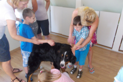 Dogoterapia z Tofikiem 09.07.14r.