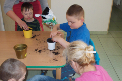 Sadzimy kwiatki 07.05.14r.