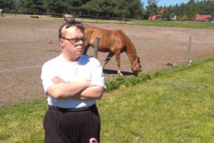 VII Festyn Sportowo-Rekreacyjny w Stadninie Koni "Iskra" 2017