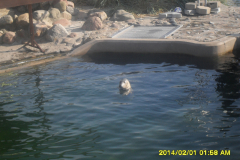 Wyjazd do fokarium na Hel