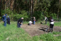 Zakładamy ogródek warzywny Maj 2015