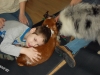 dscn2450
