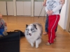 dscn2457
