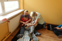 Dogoterapia 18.10.13