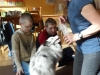 sam_2649