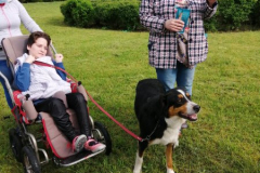 Dogoterapia na świeżym powietrzu (maj 2021)