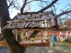 DSCN7076