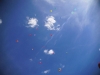 18882075_835848106590641_593401041123652982_n