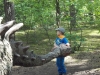 dscn3322