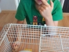 43108240_337143780190015_4157340098406383616_n