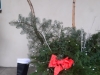 20201216_104427 (2)
