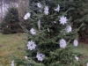 20201216_110202 (2)