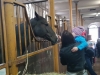 20191022_102605