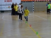 sam_3046