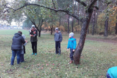 Październikowe zajęcia 