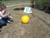 35267164_1943697825943242_7747184492955041792_n