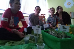 Poranny krąg grup Wiosna i Lato "W oczekiwaniu na wiosnę"