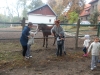 dscn0495