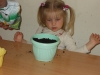 dscn2736