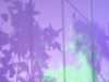 46492359_2062184164094607_5932035067743305728_n