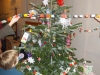 dscn1324