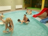 dscn0002_0