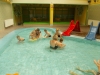 dscn0006