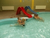 dscn0017