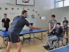 zsp ping pong