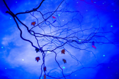 "Wrażliwość mieszka w każdym z nas"