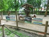 CIMG0299