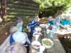 DSCN0282