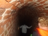 DSCF2323