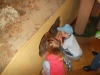 dscn3117