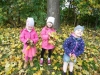 SAM_6617