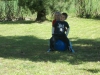 dscn2573