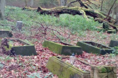 "Zapomniana mogiła, pochylony krzyż..."